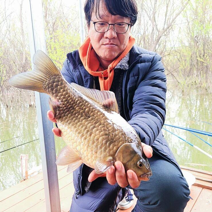 4짜가 5수씩이나 최고 465cm송전지 (조황조행기 - 특파원조황)
