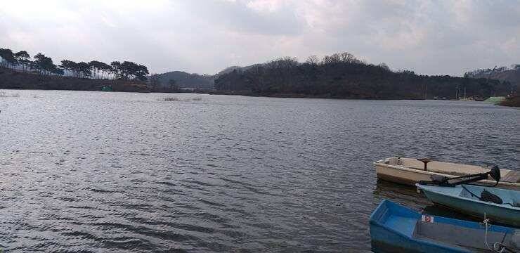고삼지4짜와 노지 붕어들 (조황조행기 - 특파원조황)