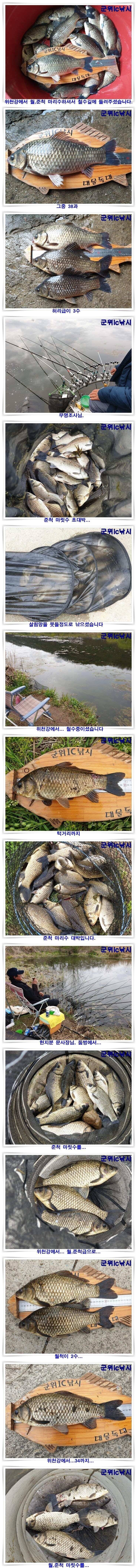 대물 43 과 초대박 마릿수들 (조황조행기 - 특파원조황)