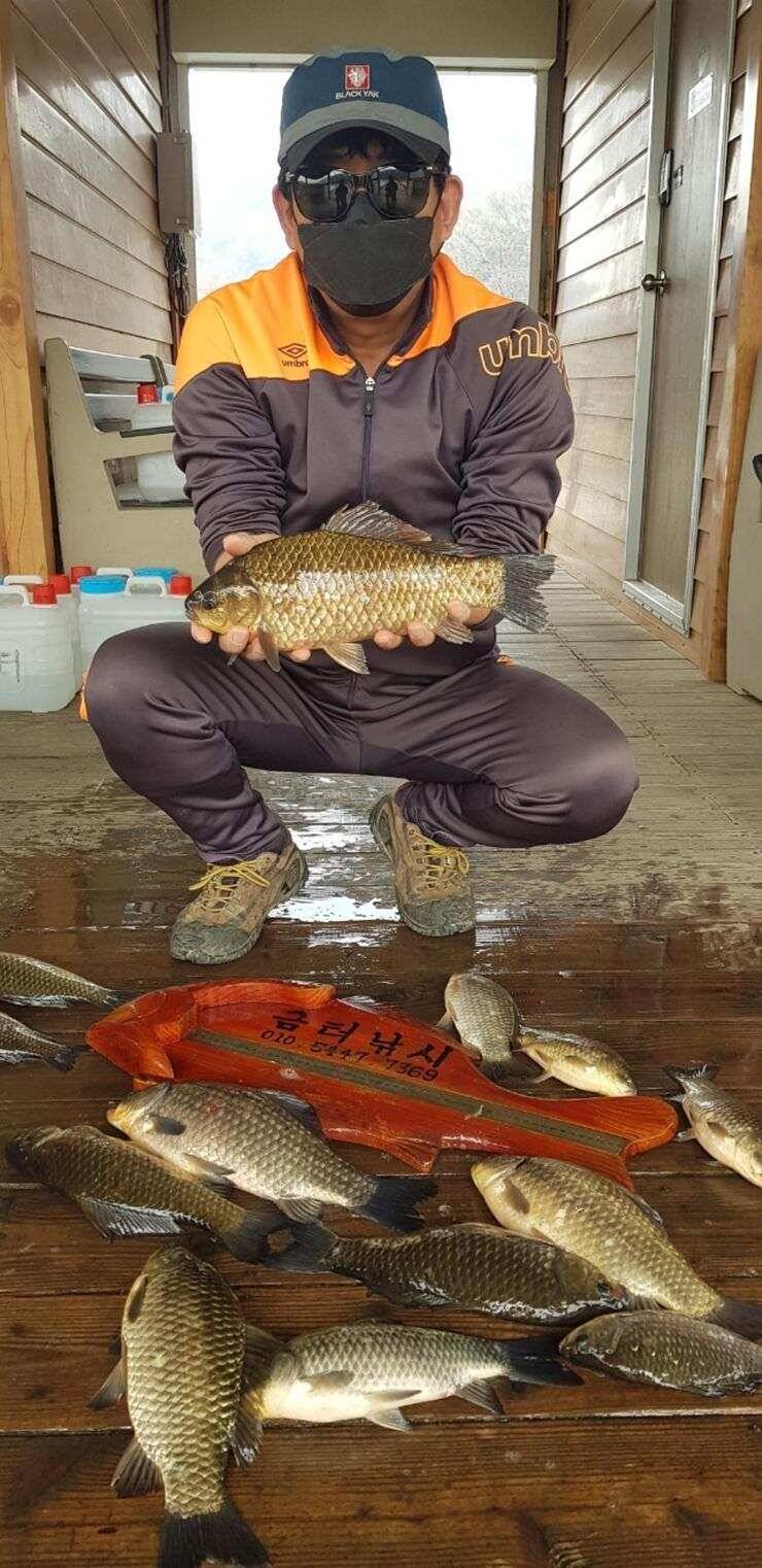 고삼지노지에서 43cm (조황조행기 - 특파원조황)