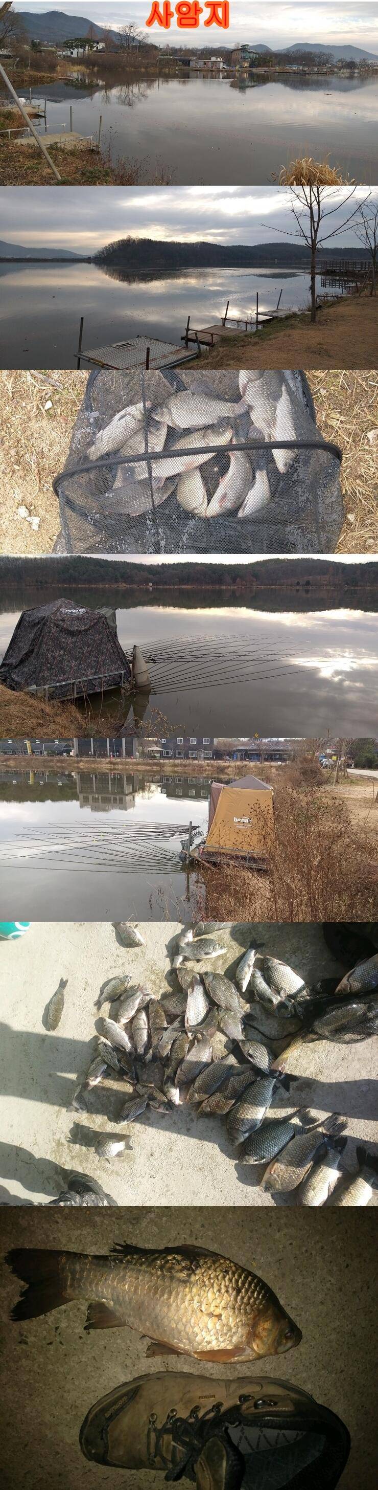 고삼두창사암지조황정보 (조황조행기 - 특파원조황)