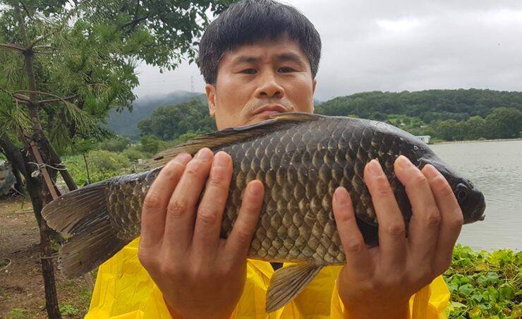 고삼지4짜의 모습 (조황조행기 - 특파원조황)