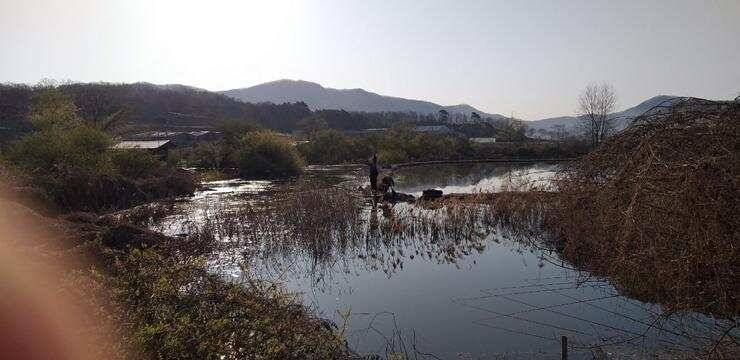 고삼지노지의 대물들 (조황조행기 - 특파원조황)