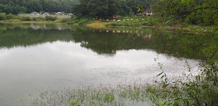 고삼지4짜와 대물들 마릿수 (조황조행기 - 특파원조황)