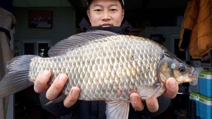 4짜를 비롯한 대물들고삼지 (조황조행기 - 특파원조황)
