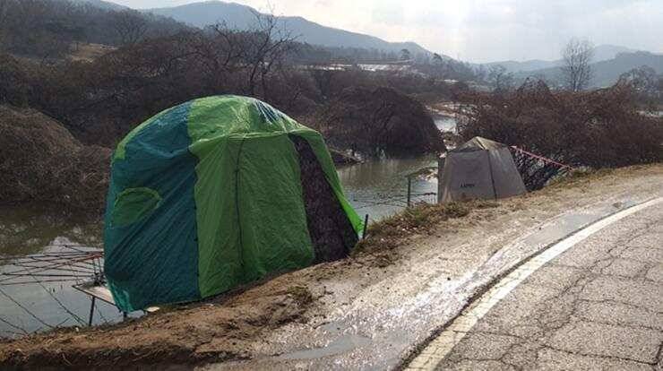 고삼지4짜와 노지 붕어들 (조황조행기 - 특파원조황)