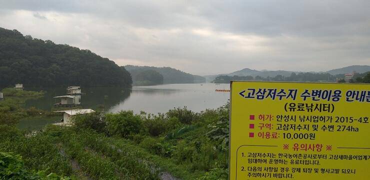 노지에서 대박이고삼지 (조황조행기 - 특파원조황)
