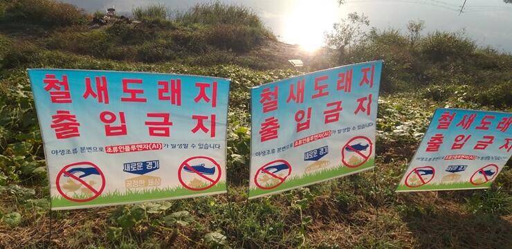 씨알좋은 붕어들청미천 (조황조행기 - 특파원조황)