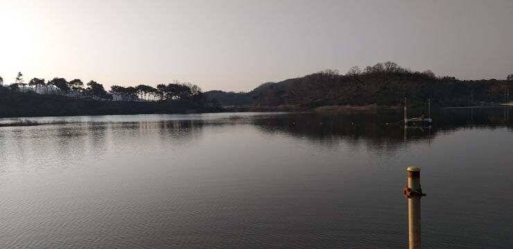 고삼지좋은 조황의 모습 (조황조행기 - 특파원조황)