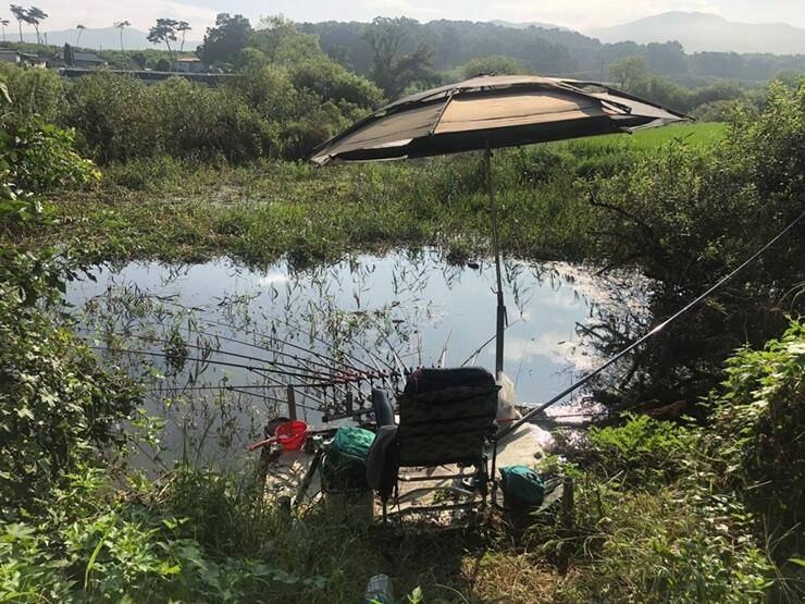 고삼지 노지에서 4짜 (조황조행기 - 특파원조황)