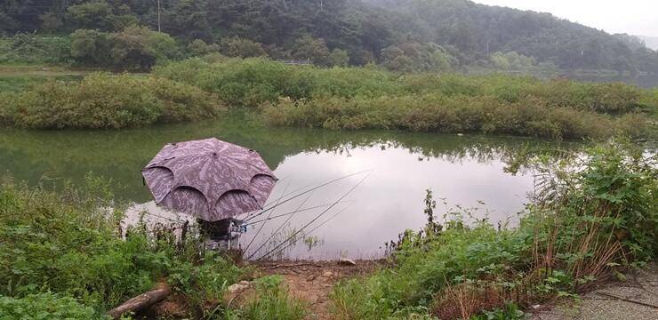 노지에서 대박이고삼지 (조황조행기 - 특파원조황)