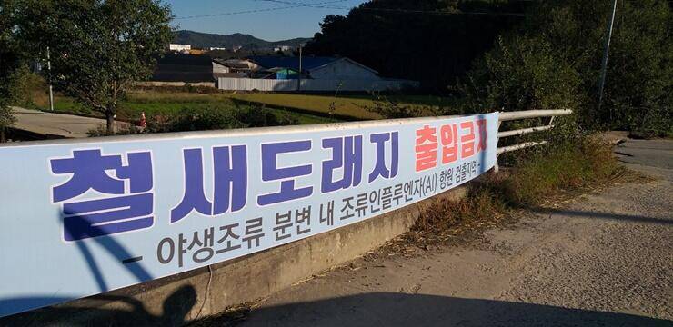 무료터청미천 낚금 기간 안내 (조황조행기 - 특파원조황)