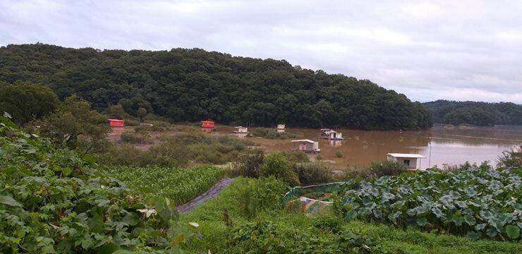 고삼지4짜의 모습 (조황조행기 - 특파원조황)