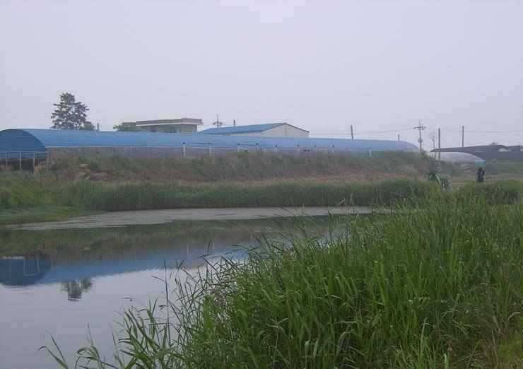 지도권 조황소식 (조황조행기 - 특파원조황)