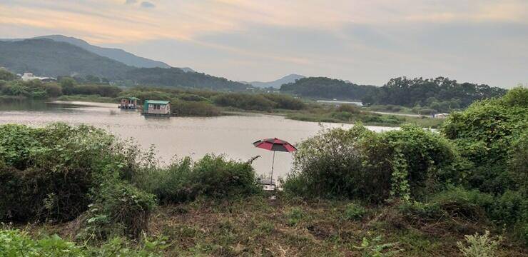 그림으로 보는 고삼지 (조황조행기 - 특파원조황)