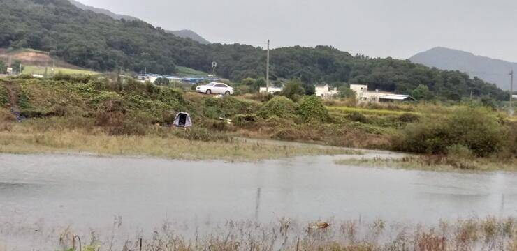 고삼지붕어들의 모습노지 포인트 안내 (조황조행기 - 특파원조황)