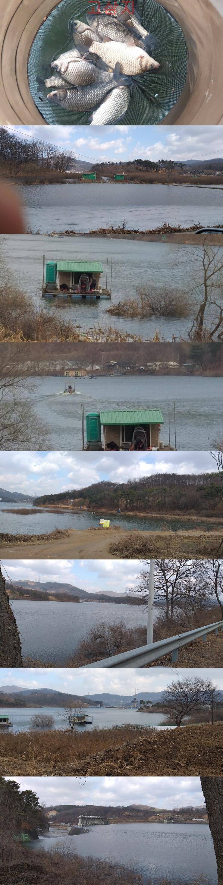 안흥수낚시 주변 낚시터들 조황 (조황조행기 - 특파원조황)
