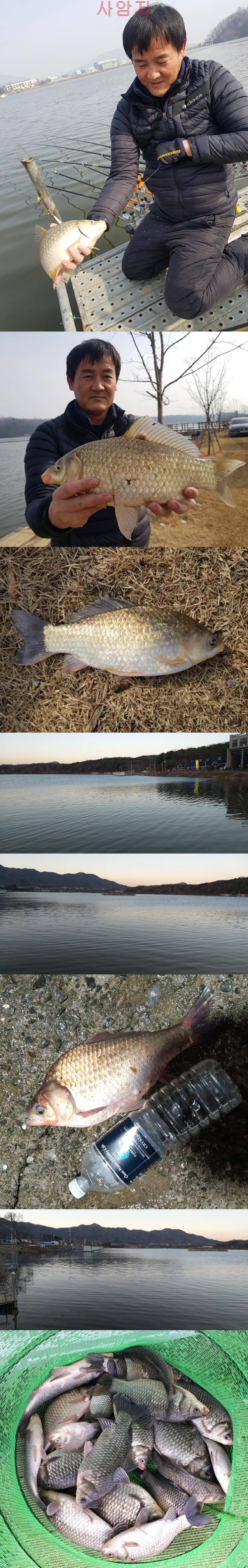 안흥수낚시 주변 낚시터들 조황 (조황조행기 - 특파원조황)