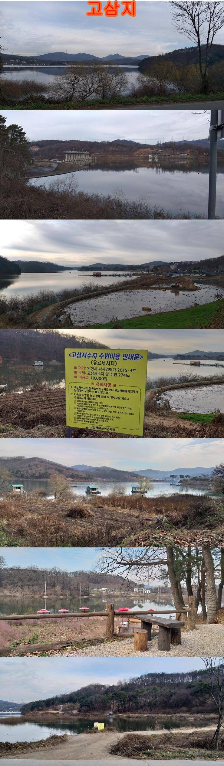 고삼두창사암지조황정보 (조황조행기 - 특파원조황)