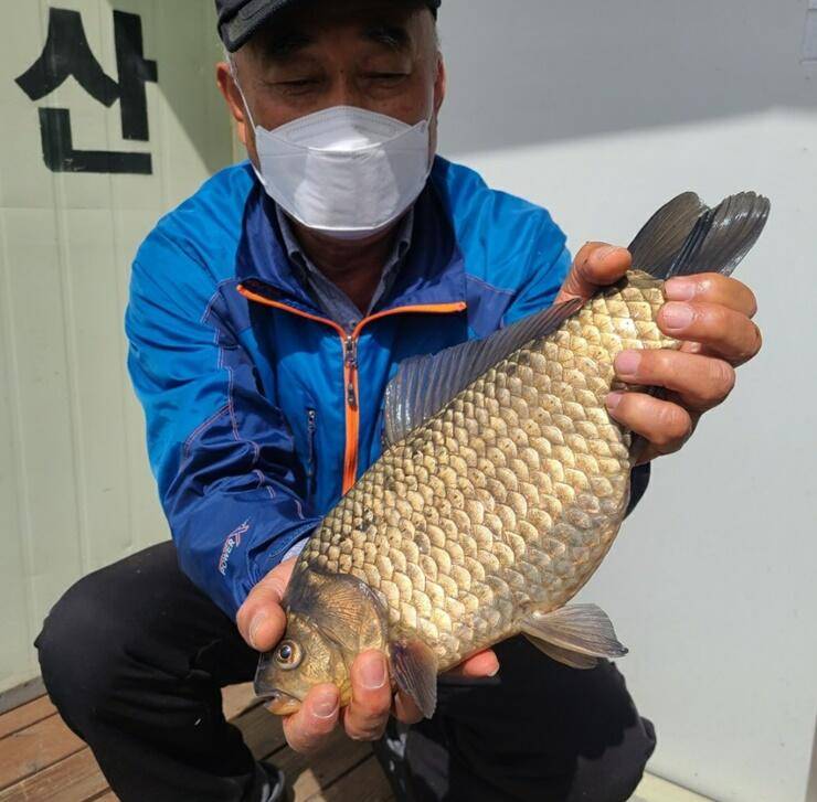 송전지4짜들의 모습 (조황조행기 - 특파원조황)
