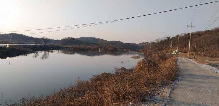 고삼지좋은 조황의 모습 (조황조행기 - 특파원조황)