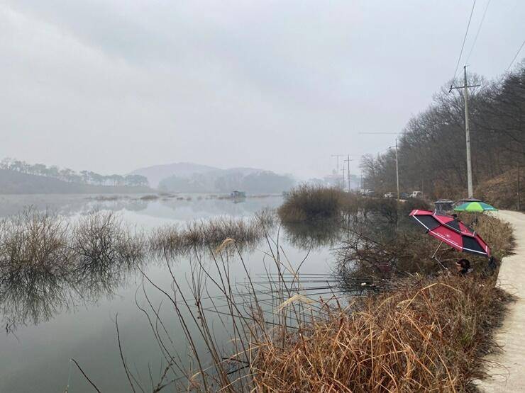 고삼지 노지와 좌대조황 (조황조행기 - 특파원조황)