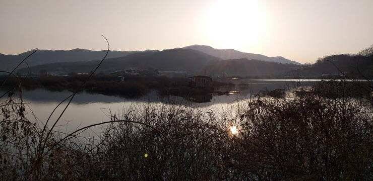 고삼지좋은 조황의 모습 (조황조행기 - 특파원조황)