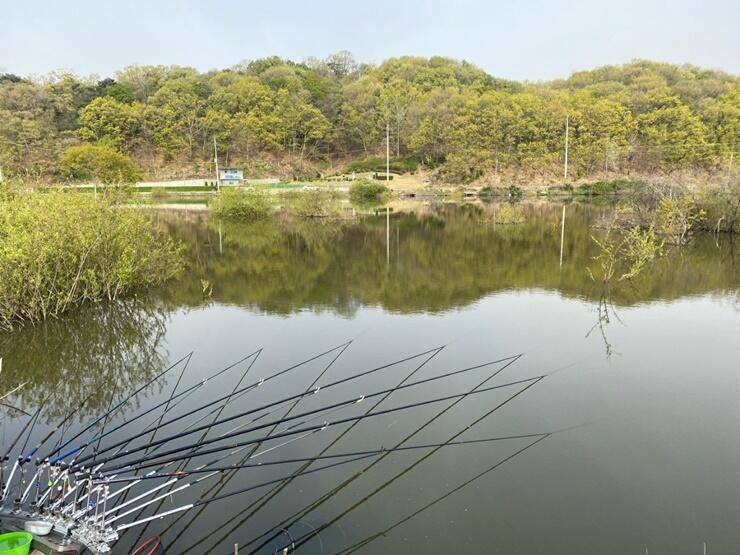노지 혹부리 4짜고삼지 (조황조행기 - 특파원조황)