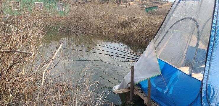 고삼지4짜와 노지 붕어들 (조황조행기 - 특파원조황)