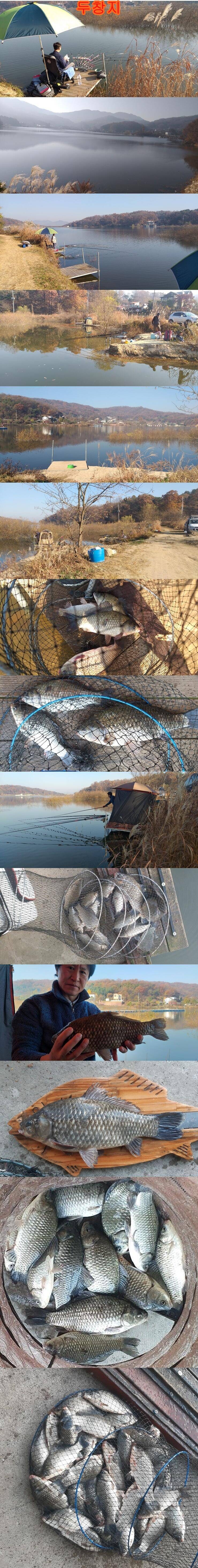 고삼두창사암지조황정보 (조황조행기 - 특파원조황)