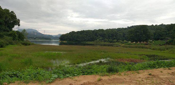 고삼지4짜와 대물들 마릿수 (조황조행기 - 특파원조황)