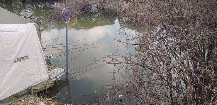 고삼지4짜와 노지 붕어들 (조황조행기 - 특파원조황)