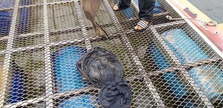 장어와 붕어들고삼지 (조황조행기 - 특파원조황)