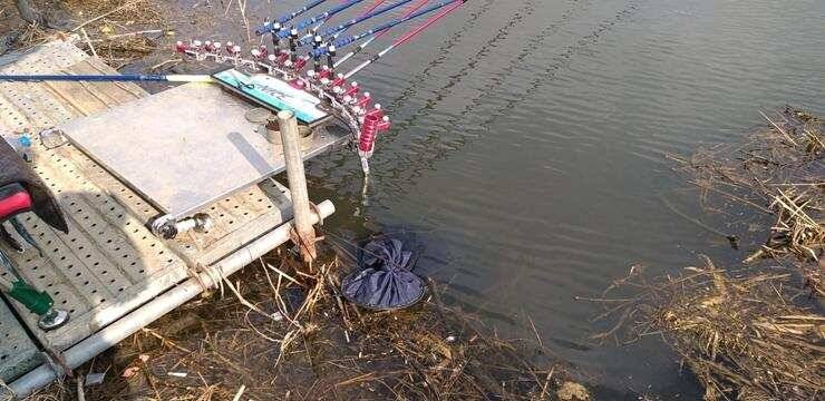 고삼지4짜와 노지 붕어들 (조황조행기 - 특파원조황)