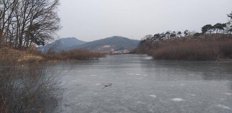 빵빵한 대물붕어고삼지 (조황조행기 - 특파원조황)