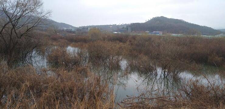 송전지사람 좋은 좌대집들입니다 (조황조행기 - 특파원조황)