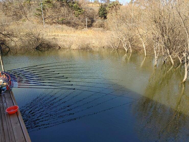 고삼지드디어 입질 시동 (조황조행기 - 특파원조황)