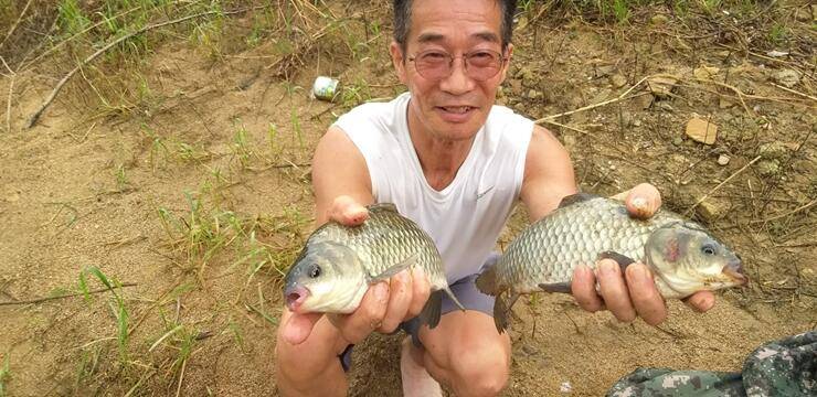 노지에서 대박이고삼지 (조황조행기 - 특파원조황)
