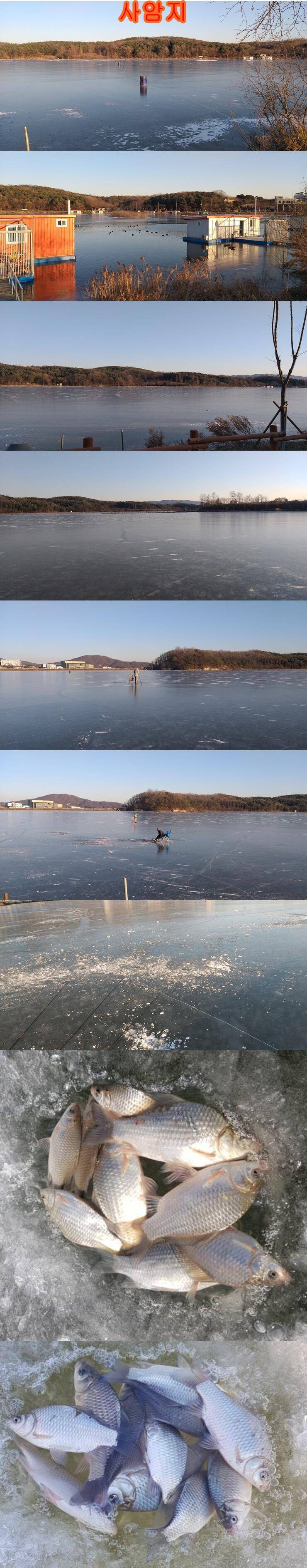 사암지얼음낚시 금지 (조황조행기 - 특파원조황)
