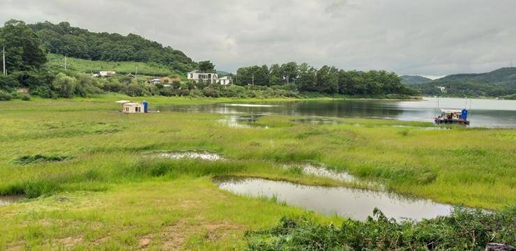 고삼지대물들의 모습 (조황조행기 - 특파원조황)