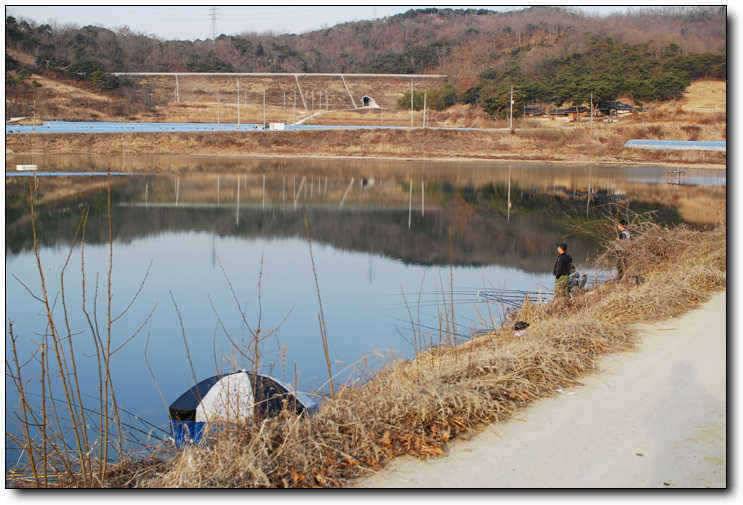 칠곡성주권 조황및 분석 (조황조행기 - 특파원조황)