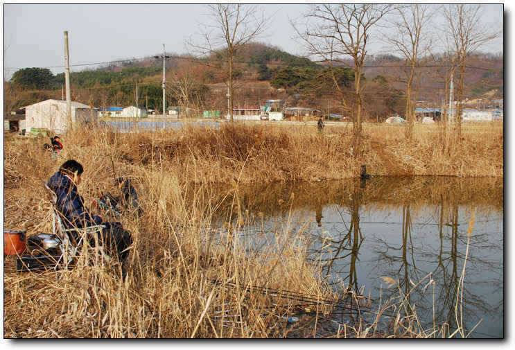 칠곡성주권 조황및 분석 (조황조행기 - 특파원조황)