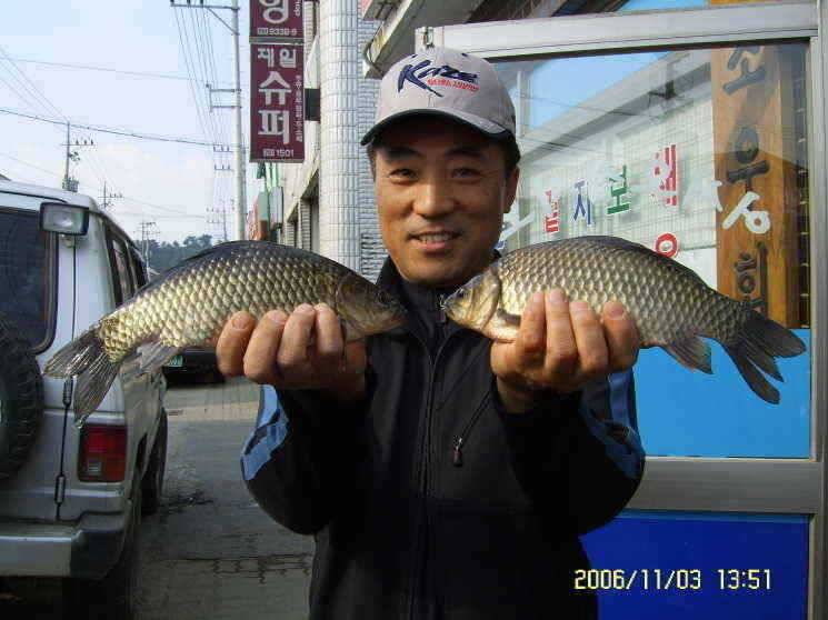 경주권11월23일 월척 조황입니다 (조황조행기 - 특파원조황)