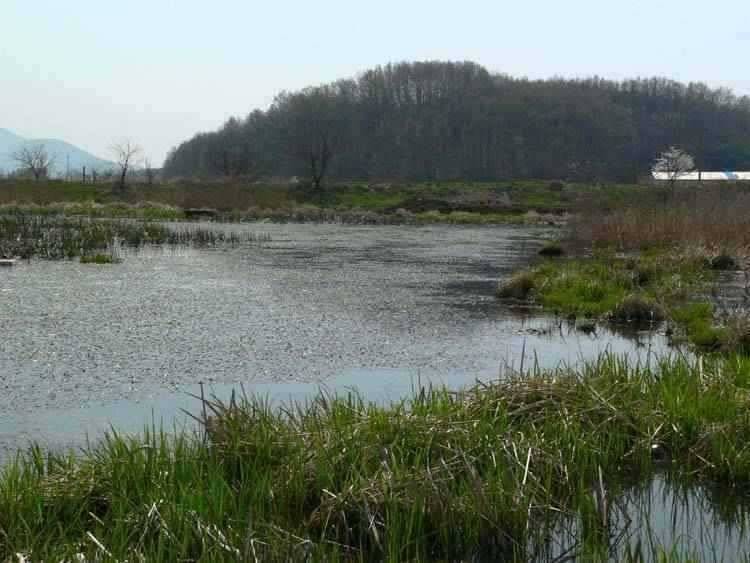 충남 광천보령권 움직이는 소류지 계곡지 (조황조행기 - 특파원조황)