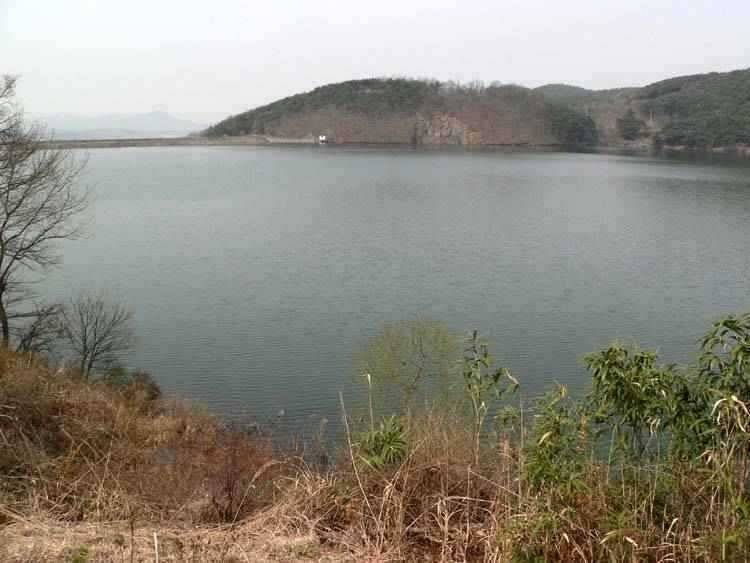 충남 광천보령권 움직이는 소류지 계곡지 (조황조행기 - 특파원조황)