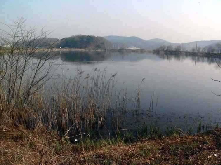 충남 광천보령권 움직이는 소류지 계곡지 (조황조행기 - 특파원조황)