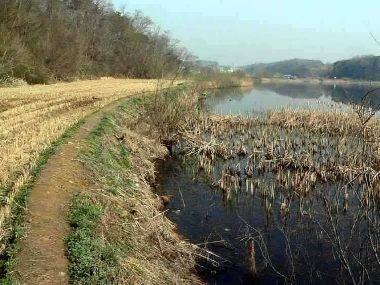 충남 광천보령권 움직이는 소류지 계곡지 (조황조행기 - 특파원조황)