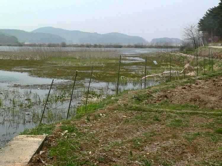 충남 광천보령권 움직이는 소류지 계곡지 (조황조행기 - 특파원조황)