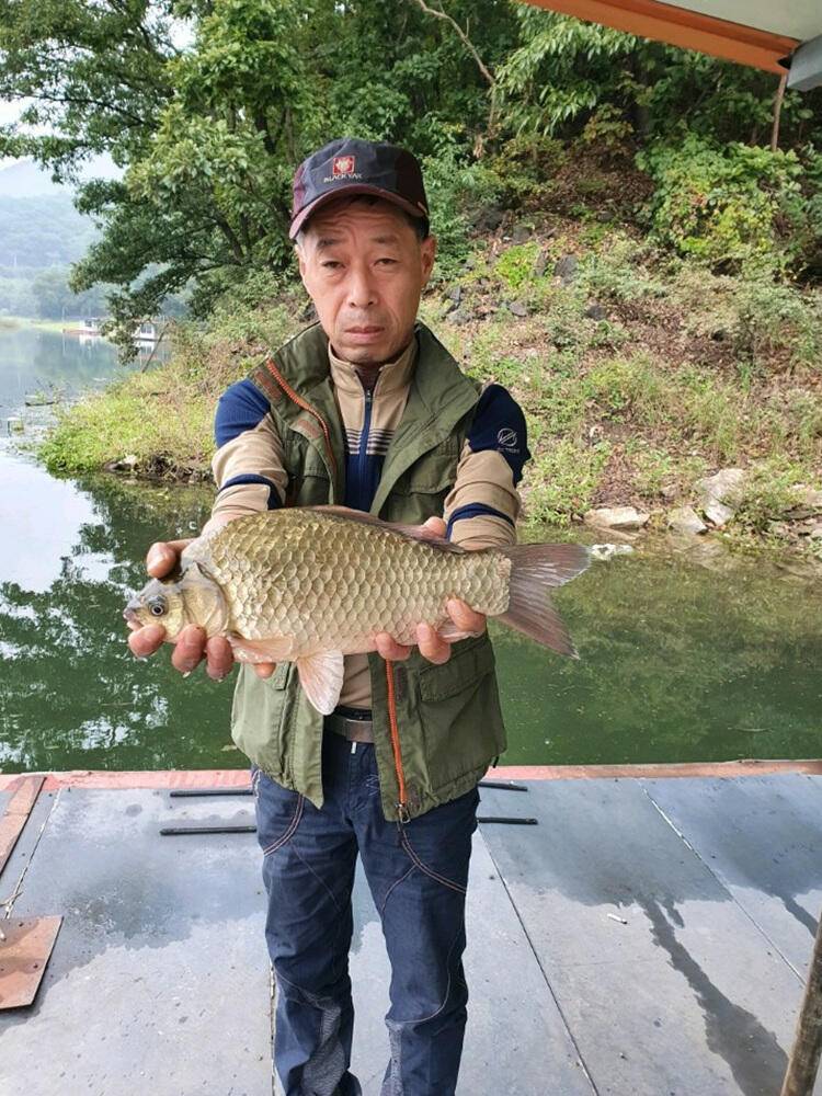 하천낚시터 4짜에 마릿수 꽃바위낚시터 38cm 허리급 조황 (조황조행기 - 특파원조황)
