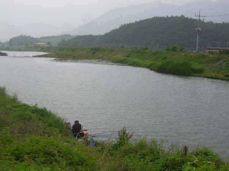 경주권 7월 9일 월척조황입니다 (조황조행기 - 특파원조황)